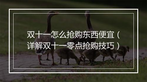 双十一怎么抢购东西便宜（详解双十一零点抢购技巧）