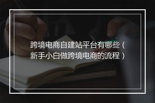跨境电商自建站平台有哪些（新手小白做跨境电商的流程）