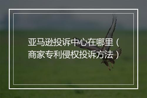 亚马逊投诉中心在哪里（商家专利侵权投诉方法）