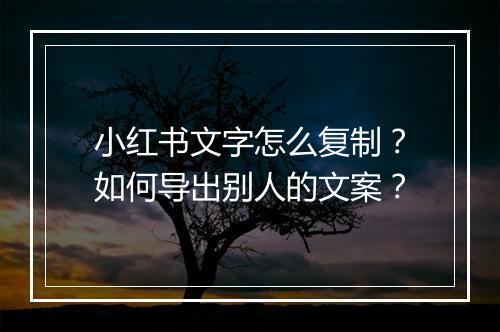 小红书文字怎么复制？如何导出别人的文案？