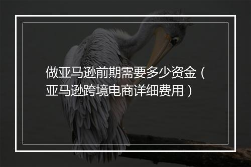 做亚马逊前期需要多少资金（亚马逊跨境电商详细费用）