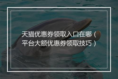 天猫优惠券领取入口在哪（平台大额优惠券领取技巧）