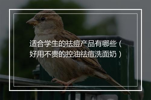 适合学生的祛痘产品有哪些（好用不贵的控油祛痘洗面奶）