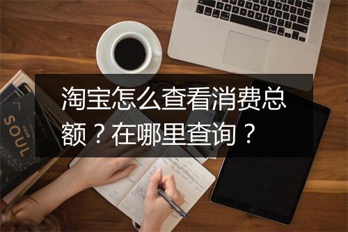 淘宝怎么查看消费总额？在哪里查询？