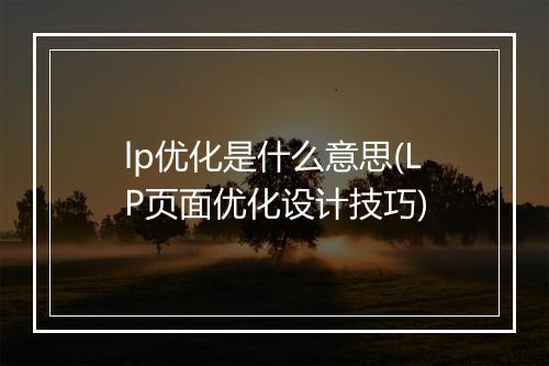 lp优化是什么意思(LP页面优化设计技巧)