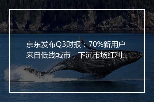 京东发布Q3财报：70%新用户来自低线城市，下沉市场红利还能吃多久？