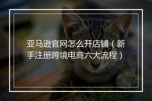 亚马逊官网怎么开店铺（新手注册跨境电商六大流程）