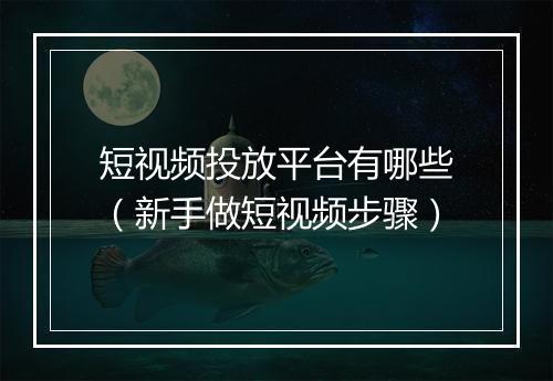 短视频投放平台有哪些（新手做短视频步骤）