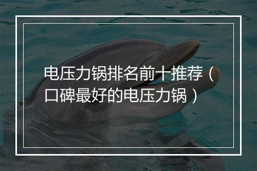 电压力锅排名前十推荐（口碑最好的电压力锅）