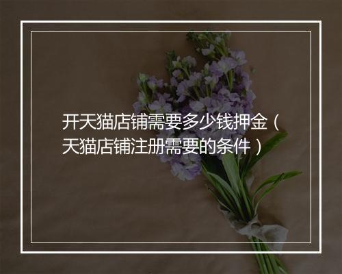 开天猫店铺需要多少钱押金（天猫店铺注册需要的条件）