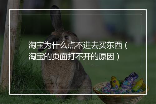 淘宝为什么点不进去买东西（淘宝的页面打不开的原因）