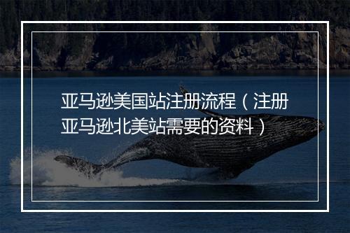 亚马逊美国站注册流程（注册亚马逊北美站需要的资料）