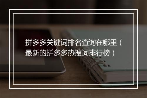 拼多多关键词排名查询在哪里（最新的拼多多热搜词排行榜）