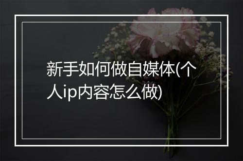 新手如何做自媒体(个人ip内容怎么做)