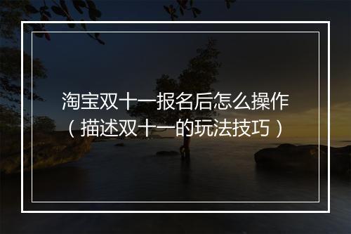 淘宝双十一报名后怎么操作（描述双十一的玩法技巧）