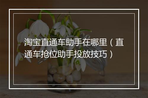 淘宝直通车助手在哪里（直通车抢位助手投放技巧）