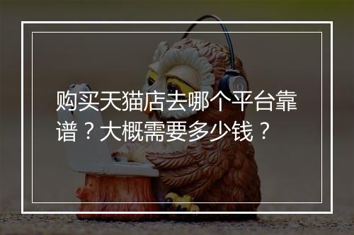 购买天猫店去哪个平台靠谱？大概需要多少钱？