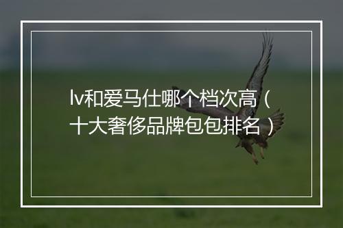lv和爱马仕哪个档次高（十大奢侈品牌包包排名）