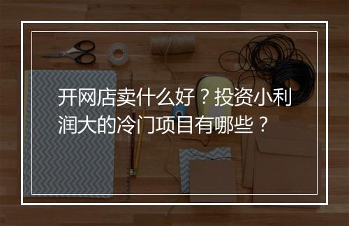 开网店卖什么好？投资小利润大的冷门项目有哪些？