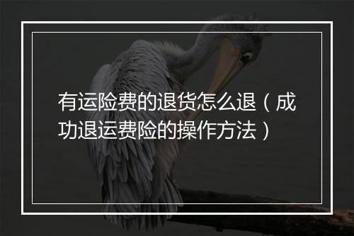 有运险费的退货怎么退（成功退运费险的操作方法）