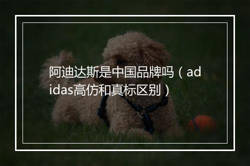 阿迪达斯是中国品牌吗（adidas高仿和真标区别）