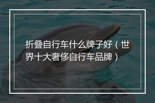 折叠自行车什么牌子好（世界十大奢侈自行车品牌）