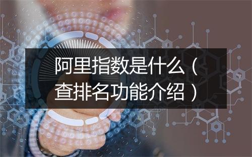 阿里指数是什么（查排名功能介绍）