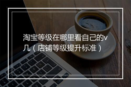 淘宝等级在哪里看自己的v几（店铺等级提升标准）