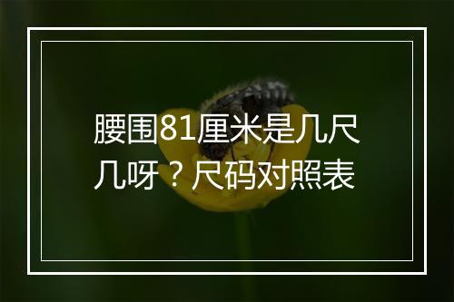 腰围81厘米是几尺几呀？尺码对照表