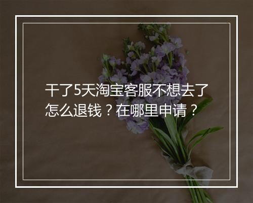 干了5天淘宝客服不想去了怎么退钱？在哪里申请？