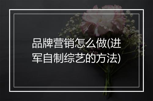 品牌营销怎么做(进军自制综艺的方法)