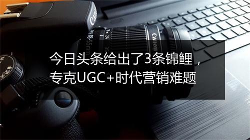 今日头条给出了3条锦鲤，专克UGC+时代营销难题