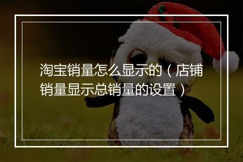 淘宝销量怎么显示的（店铺销量显示总销量的设置）