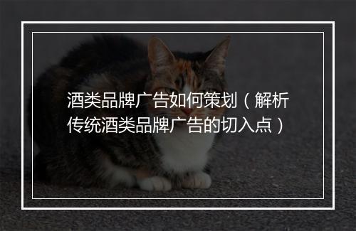 酒类品牌广告如何策划（解析传统酒类品牌广告的切入点）