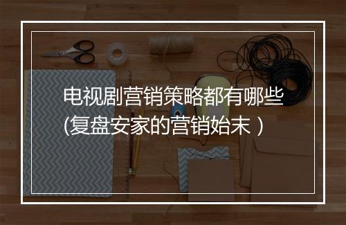 电视剧营销策略都有哪些(复盘安家的营销始末）