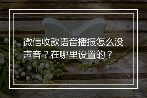 微信收款语音播报怎么没声音？在哪里设置的？