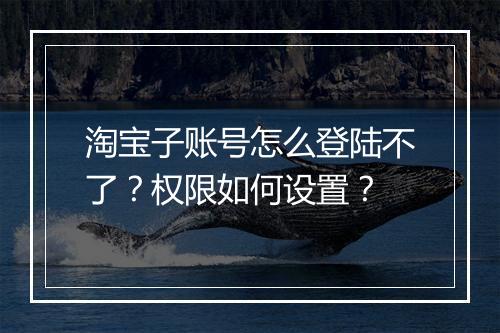 淘宝子账号怎么登陆不了？权限如何设置？