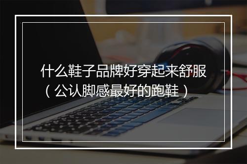 什么鞋子品牌好穿起来舒服（公认脚感最好的跑鞋）
