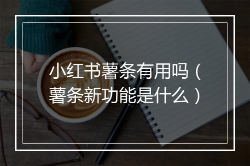 小红书薯条有用吗（薯条新功能是什么）
