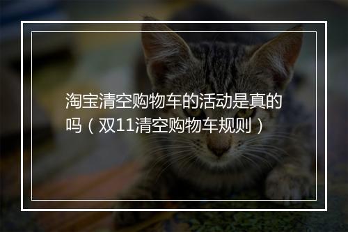 淘宝清空购物车的活动是真的吗（双11清空购物车规则）