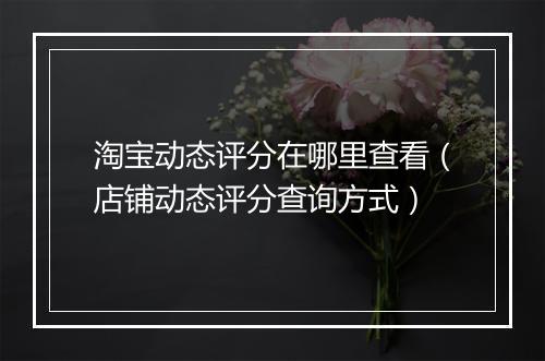 淘宝动态评分在哪里查看（店铺动态评分查询方式）