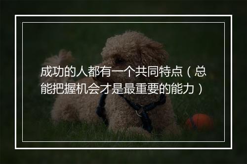 成功的人都有一个共同特点（总能把握机会才是最重要的能力）
