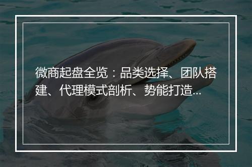 微商起盘全览：品类选择、团队搭建、代理模式剖析、势能打造、流量获取