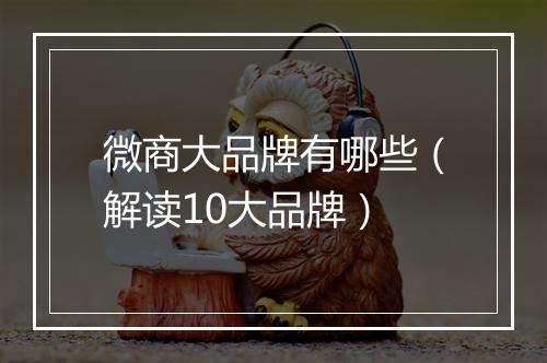 微商大品牌有哪些（解读10大品牌）