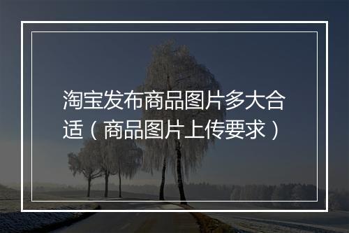 淘宝发布商品图片多大合适（商品图片上传要求）