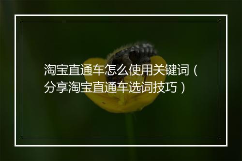 淘宝直通车怎么使用关键词（分享淘宝直通车选词技巧）