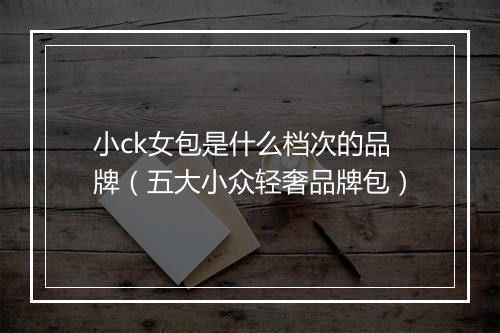 小ck女包是什么档次的品牌（五大小众轻奢品牌包）