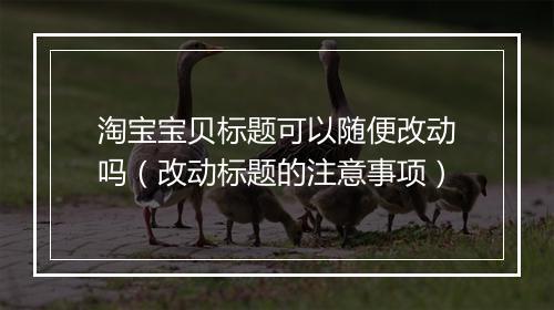 淘宝宝贝标题可以随便改动吗（改动标题的注意事项）