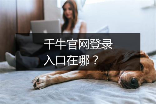 千牛官网登录入口在哪？