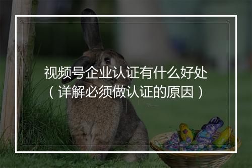 视频号企业认证有什么好处（详解必须做认证的原因）